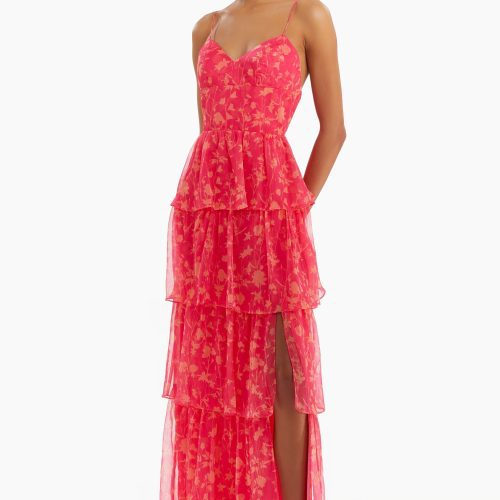 Thaddea Maxi Dress in Brookside Print