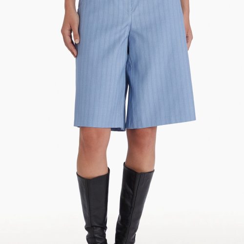 Blue long stripe shorts, front facing.