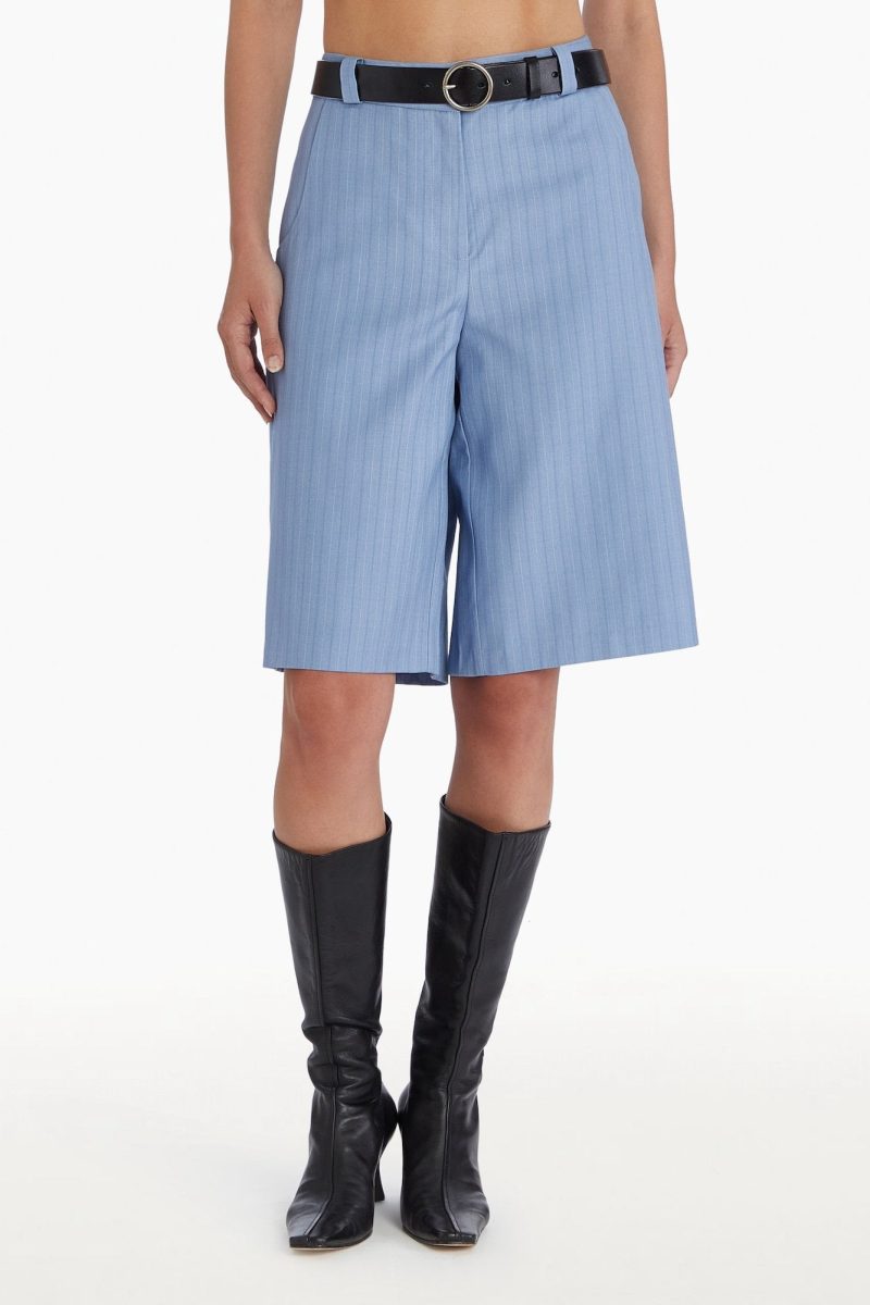 Blue long stripe shorts, front facing.